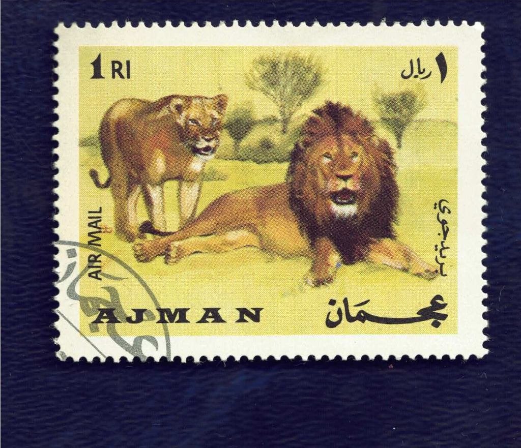 Kastachtigen - Ajman - Leeuwenpaar - 1 RI Airmail - gebr, Ophalen of Verzenden, Gestempeld, Dier of Natuur