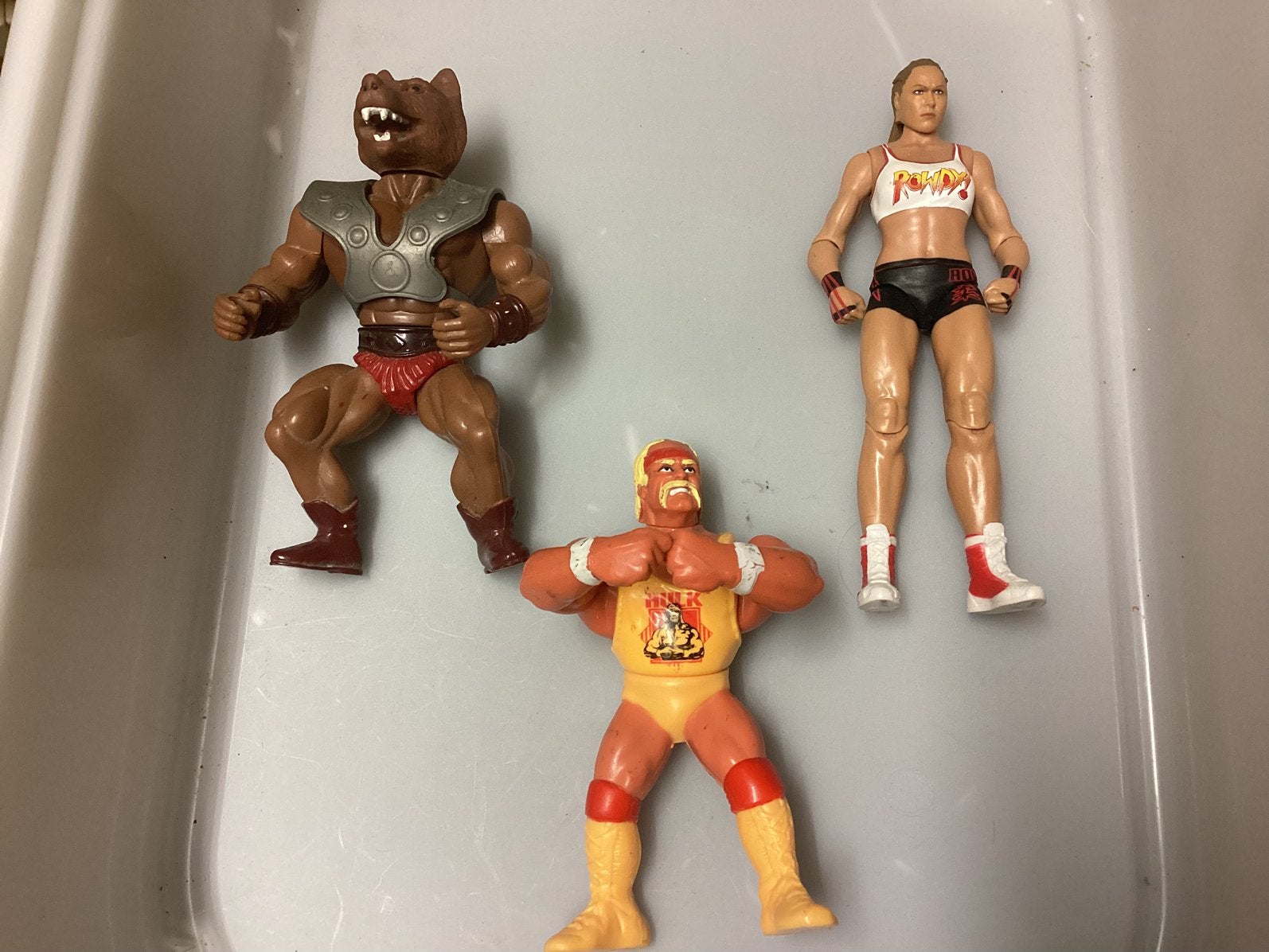 Hasbro wwe-He Man- hulk hogan etc, Kinderen en Baby's, Speelgoed | Actiefiguren, Ophalen of Verzenden, Gebruikt