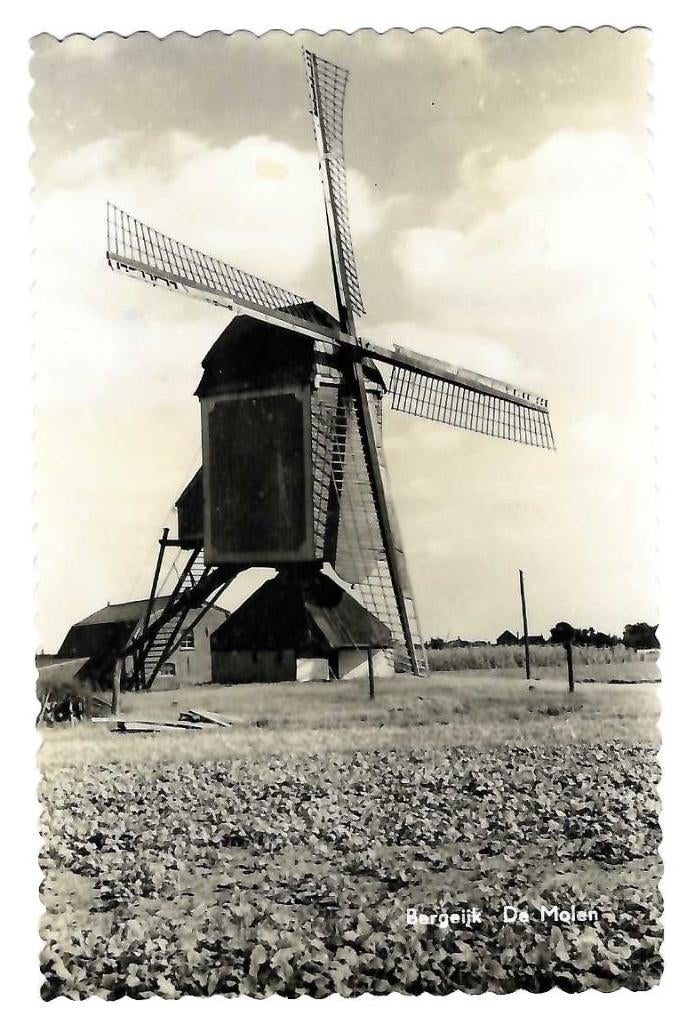 Bergeijk - De Molen, Verzenden, 1940 tot 1960, Gelopen, Noord-Brabant