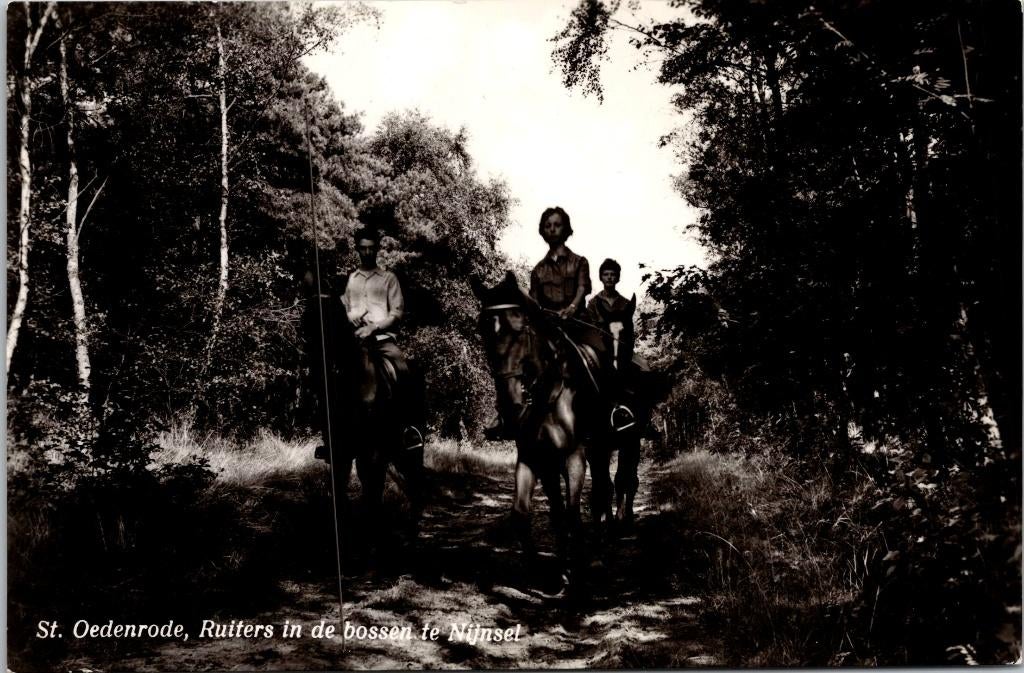 Sint-Oedenrode - Ruiters in de bossen te Nijnsel (1954), Verzenden, 1940 tot 1960, Gelopen, Noord-Brabant