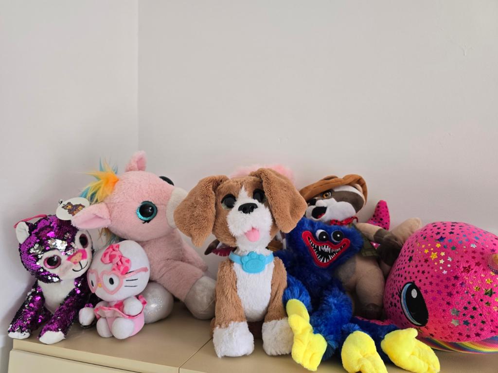 Vele knuffels huisdier en rookvrij, Kinderen en Baby's, Speelgoed | Knuffels en Pluche, Ophalen of Verzenden, Zo goed als nieuw