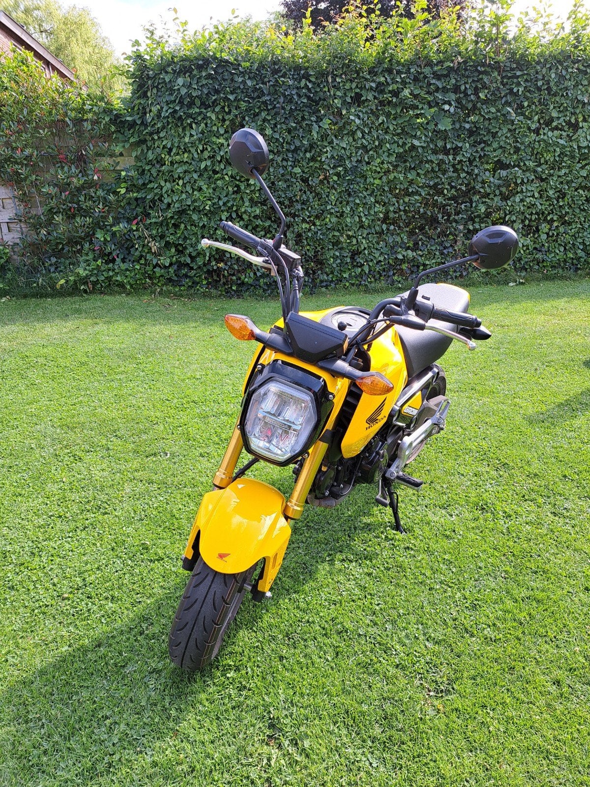 Honda Grom MSX125, Particulier