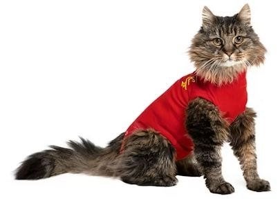Rood medical petshirt maat 4XS, Ophalen of Verzenden, Zo goed als nieuw