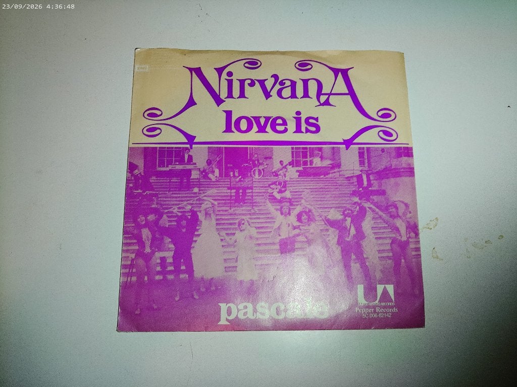 Nirvana - Love is / Pascale, Cd's en Dvd's, Gebruikt, Fotohoes, 7 inch, Ophalen of Verzenden