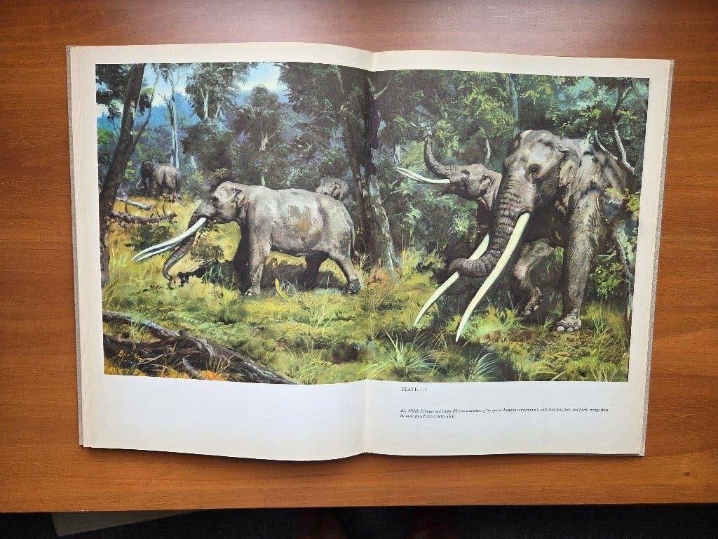 The Age of Monsters, Ophalen of Verzenden, Gelezen, Natuurwetenschap