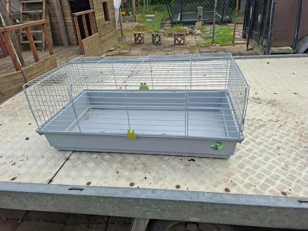 Cavia/konijnen binnen kooi, Kooi, Gebruikt, Konijn, 75 tot 110 cm