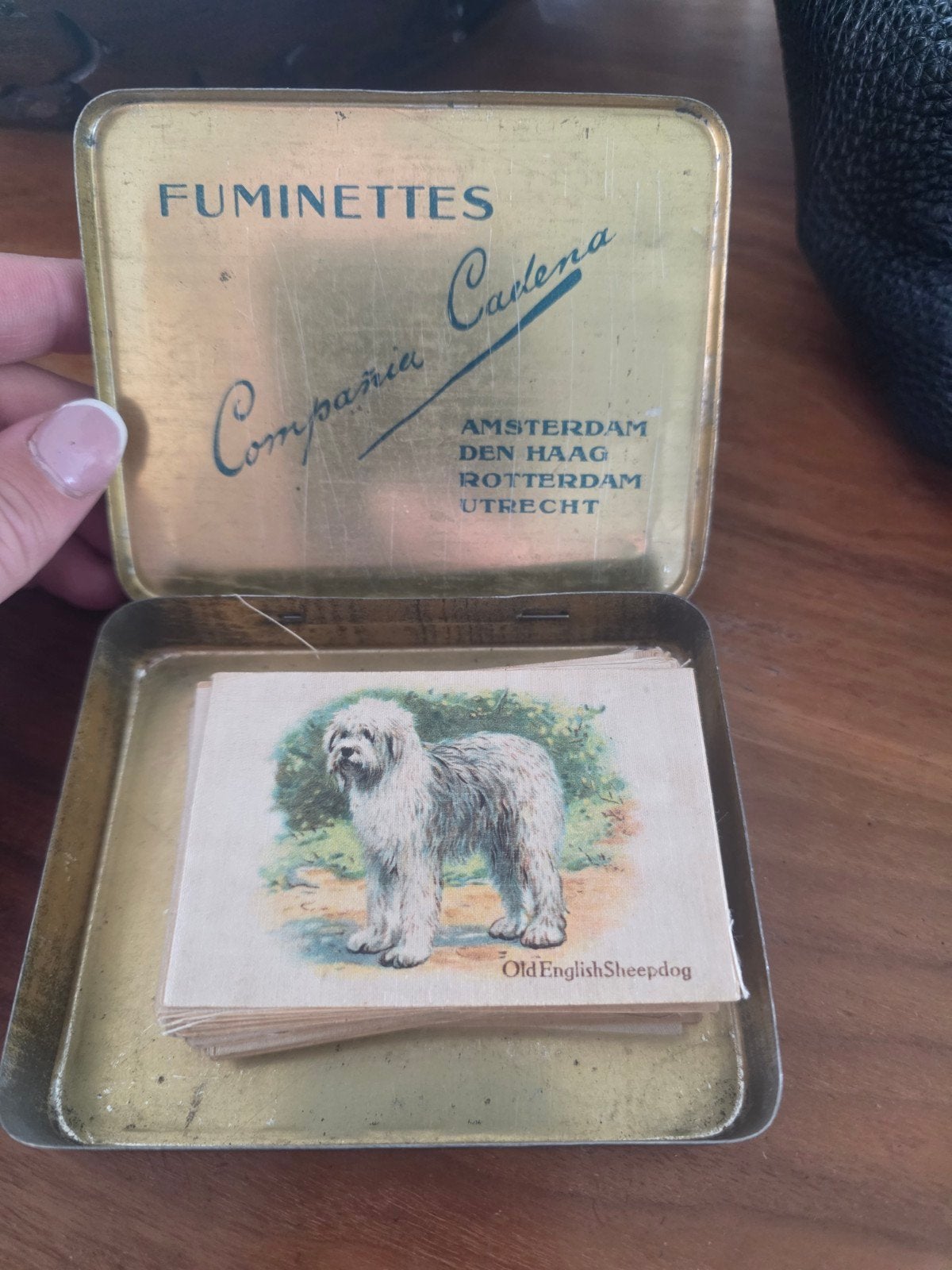 Antieke set Cigarette Silks Honden (46/50 stuks), Ophalen of Verzenden, Gebruikt, Overige