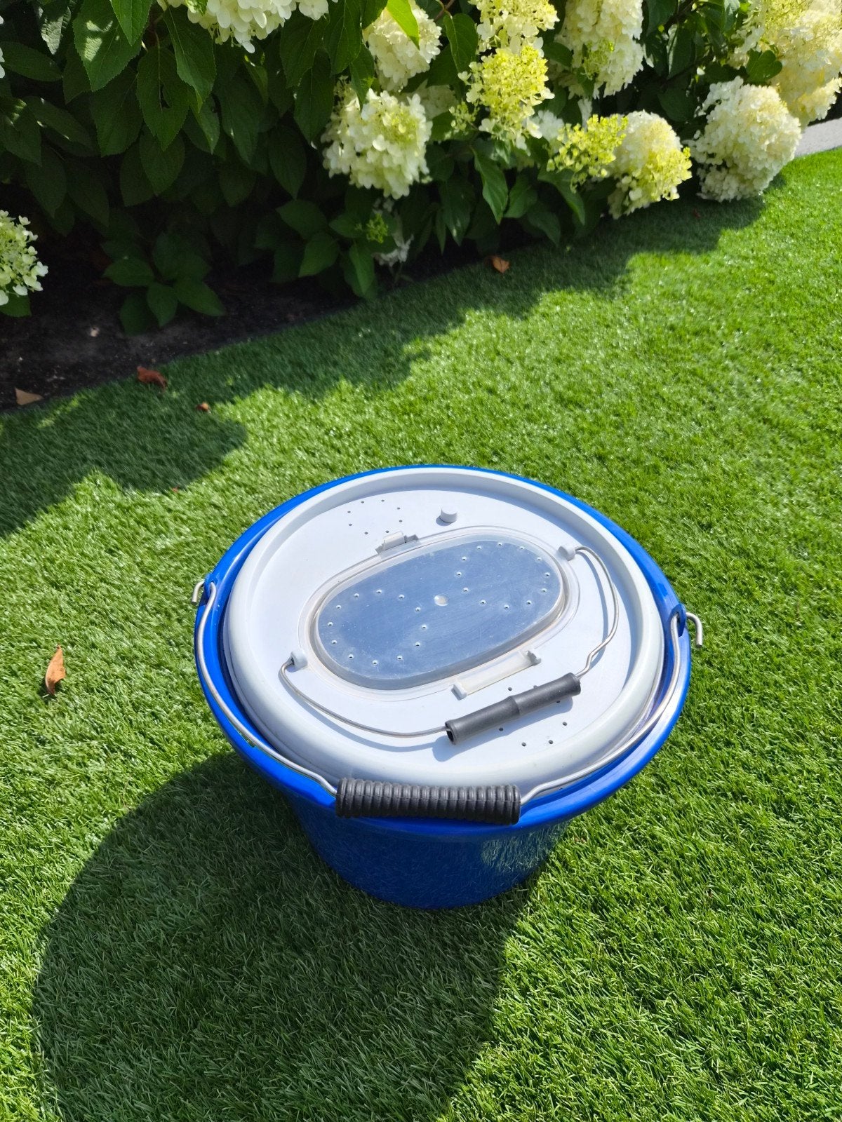 Levende aasemmer met deksel - Blauw, Ophalen of Verzenden, Gebruikt, Overige typen