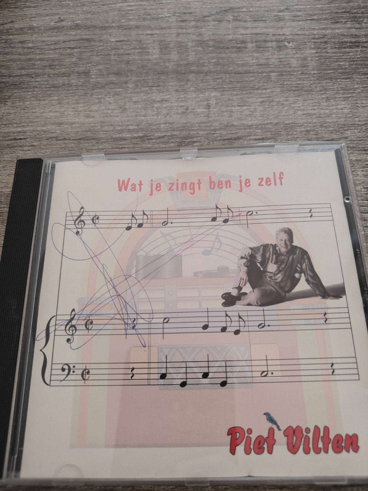 Piet Vilten - Wat je zingt ben je zelf CD, Gebruikt, Ophalen of Verzenden, Levenslied of Smartlap, Inclusief doosje