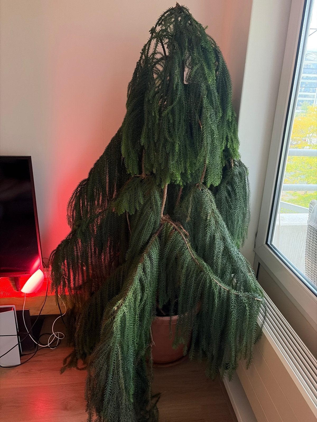 Kamerden 180 cm (ghillie suit-editie), Ophalen, Zo goed als nieuw, Groen, Natuurlijk materiaal