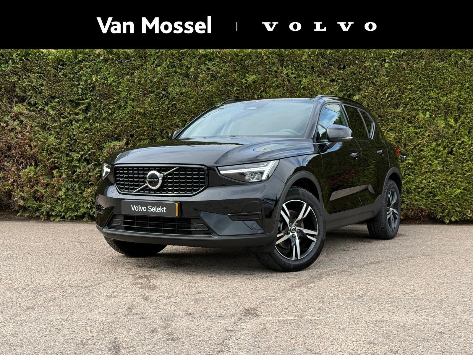 Volvo XC40 B4 Plus Dark | Harman/Kardon | Memory | Trekhaak