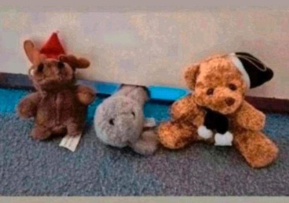 Leuke knuffels: zeehond, hondje en beertje - Onbeschadigd, Zo goed als nieuw, Klein (minder dan 20 cm), Bruin, Hond