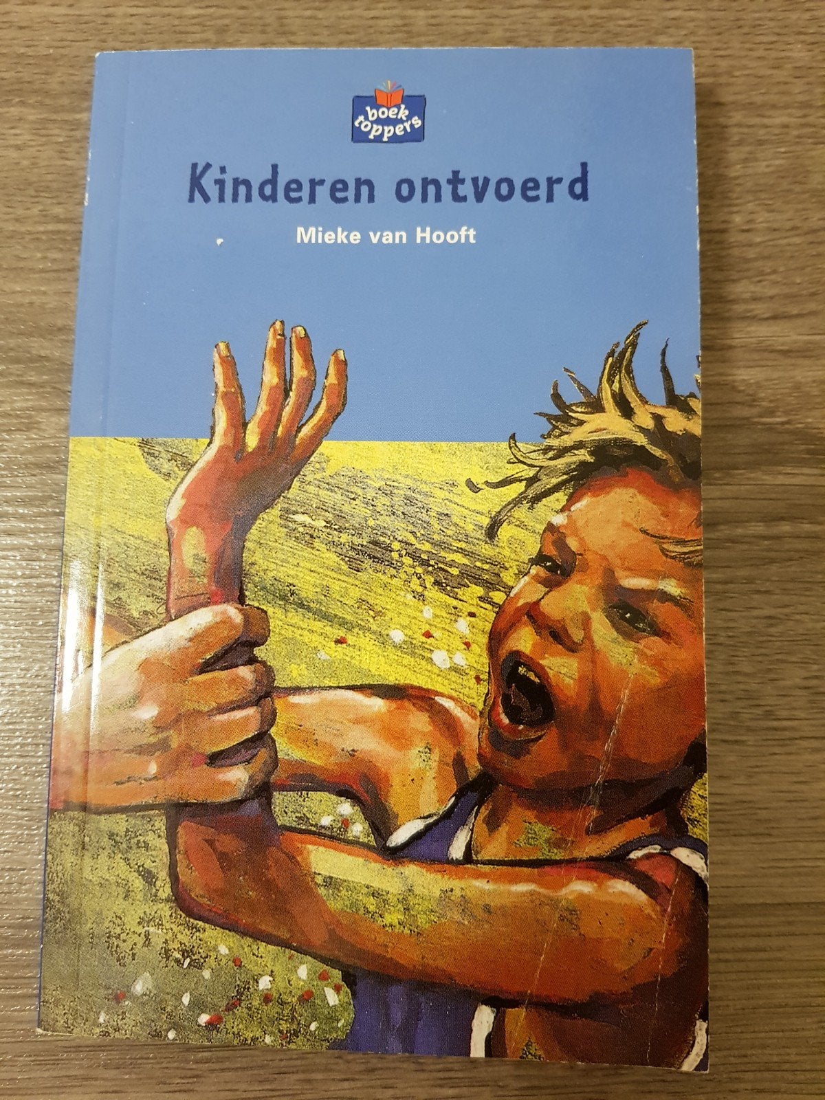Boek Kinderen Ontvoerd - Mieke van Hooft, Boeken, Ophalen of Verzenden, Zo goed als nieuw, Fictie