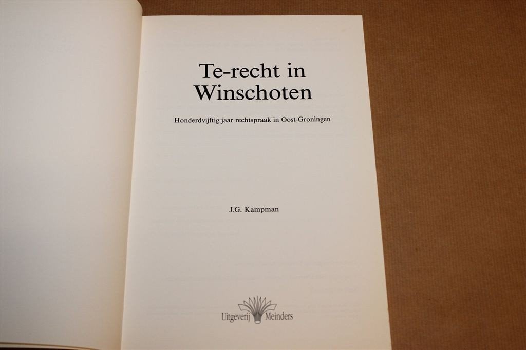 Te-recht in Winschoten — Rechtspraak in Oost-Groningen, Boeken, Ophalen of Verzenden, Gelezen