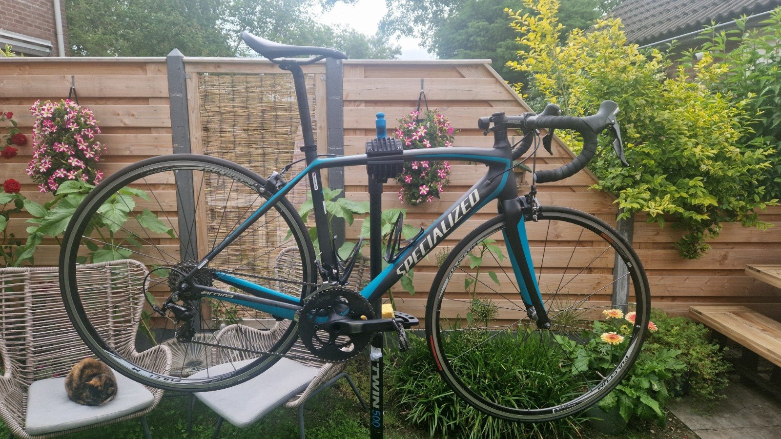 Specialized Amira SL4 Elite 2016 -, Meer dan 20 versnellingen, Ophalen, Overige merken, 53 tot 56 cm