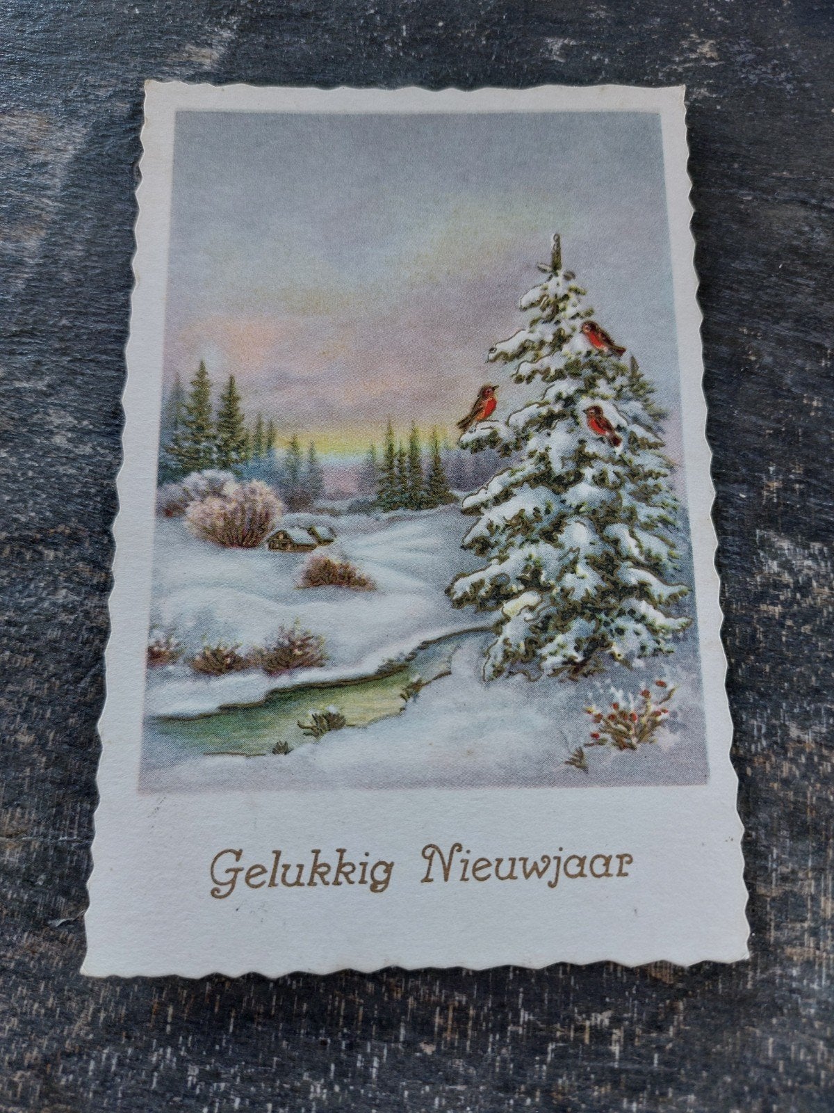 Oude kerstkaart 'Gelukkig Nieuwjaar' met vogels in de sneeuw, Ophalen of Verzenden