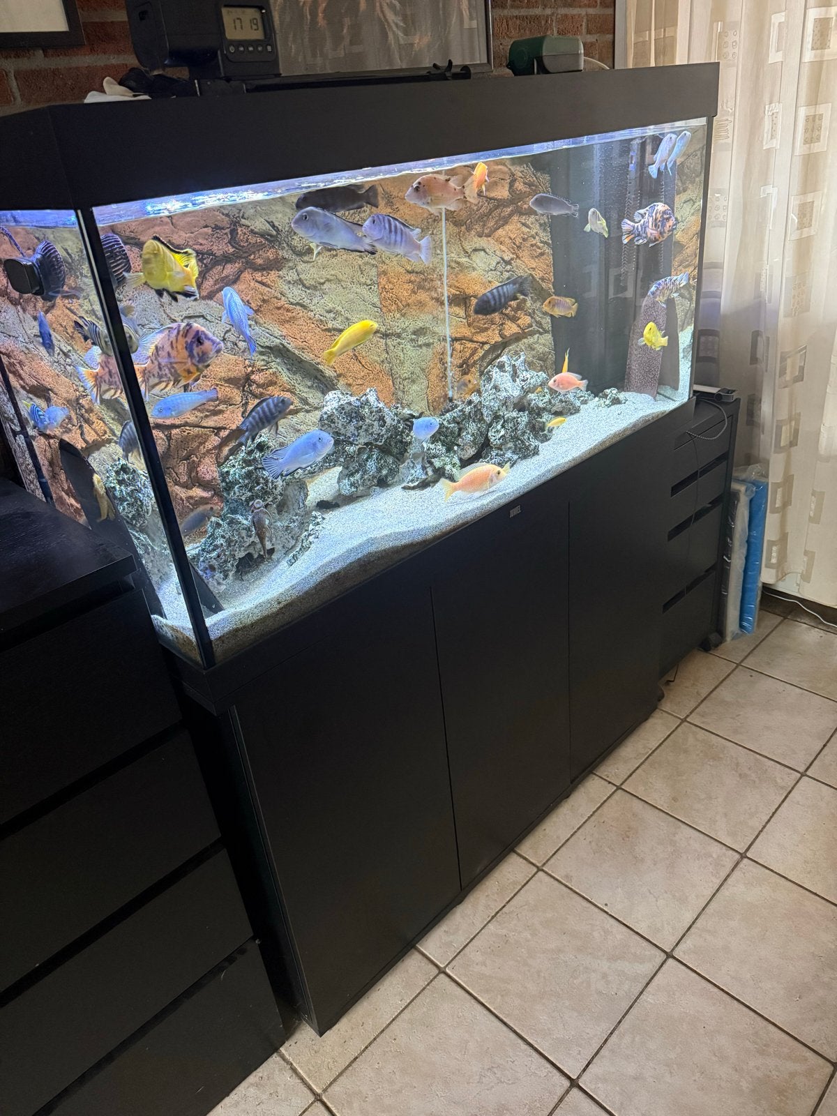 Juwel Rio 350 inclusief toebehoren, Ophalen, Gebruikt, Inclusief vissen, Aquariummeubel