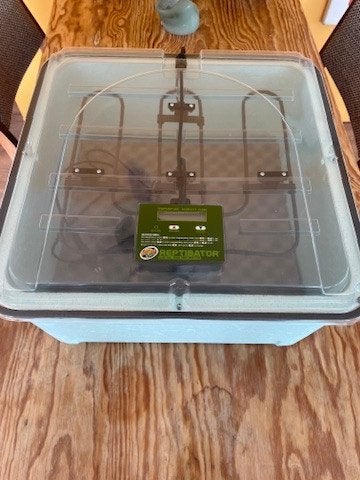 Zoo Med ReptiBator Digital Egg Incubator – nieuw, Ophalen of Verzenden, Nieuw, Broedstoof of Broedmachine