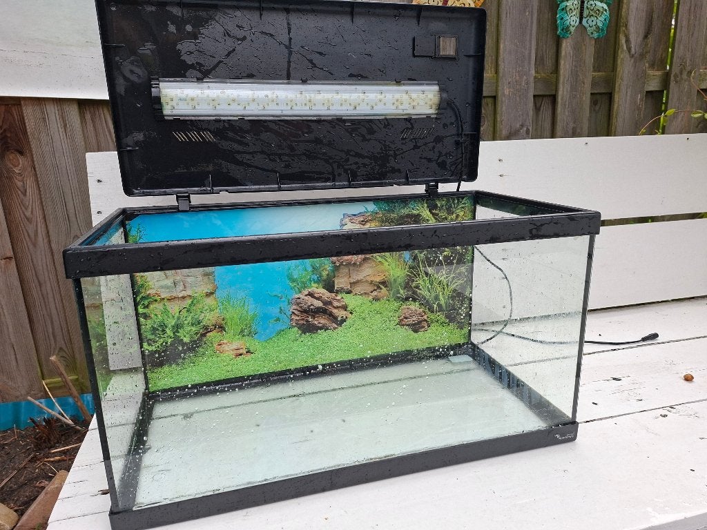 Aquariumbak / glazen bak, Ophalen, Gebruikt, Leeg aquarium, Aquatlantis