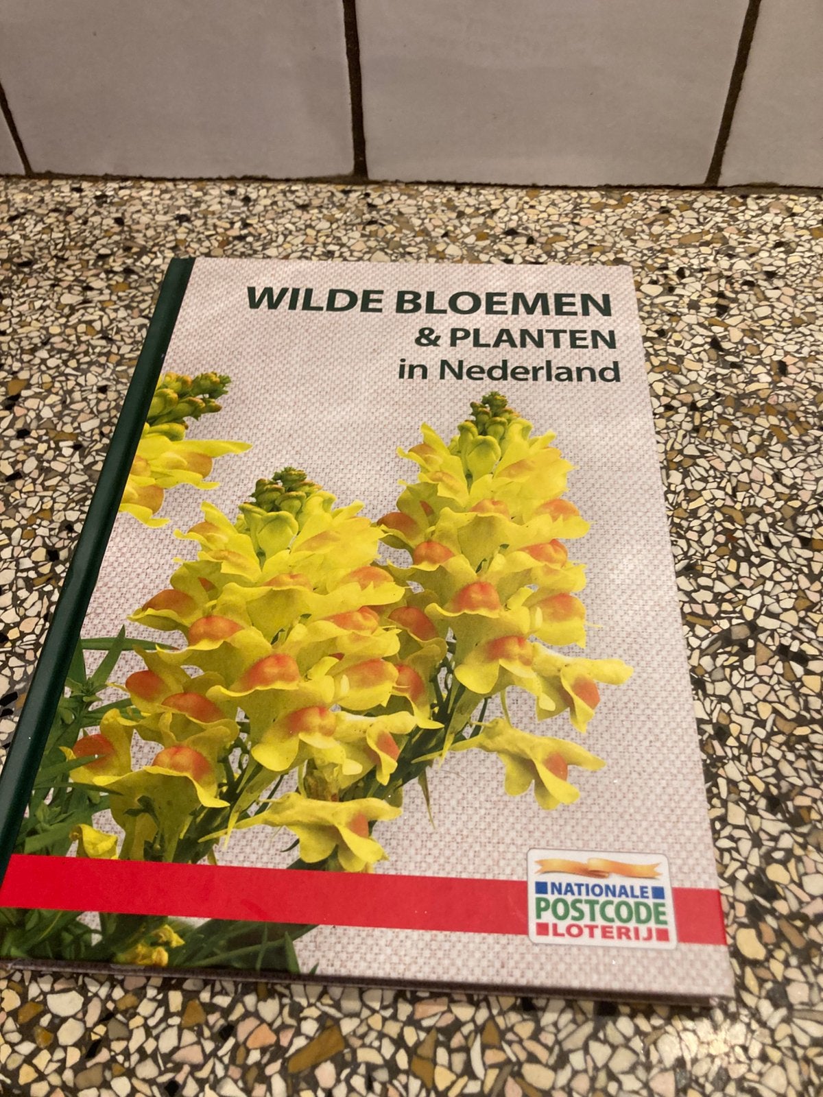 Wilde bloemen en struiken, Boeken, Natuur, Ophalen of Verzenden, Zo goed als nieuw, Bloemen, Planten en Bomen