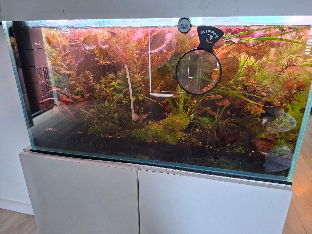 Leeg Superfish Scaper 140 Aquarium (77x45x40cm) optiwhite, Dieren en Toebehoren, Ophalen, Zo goed als nieuw, Leeg aquarium, Superfish