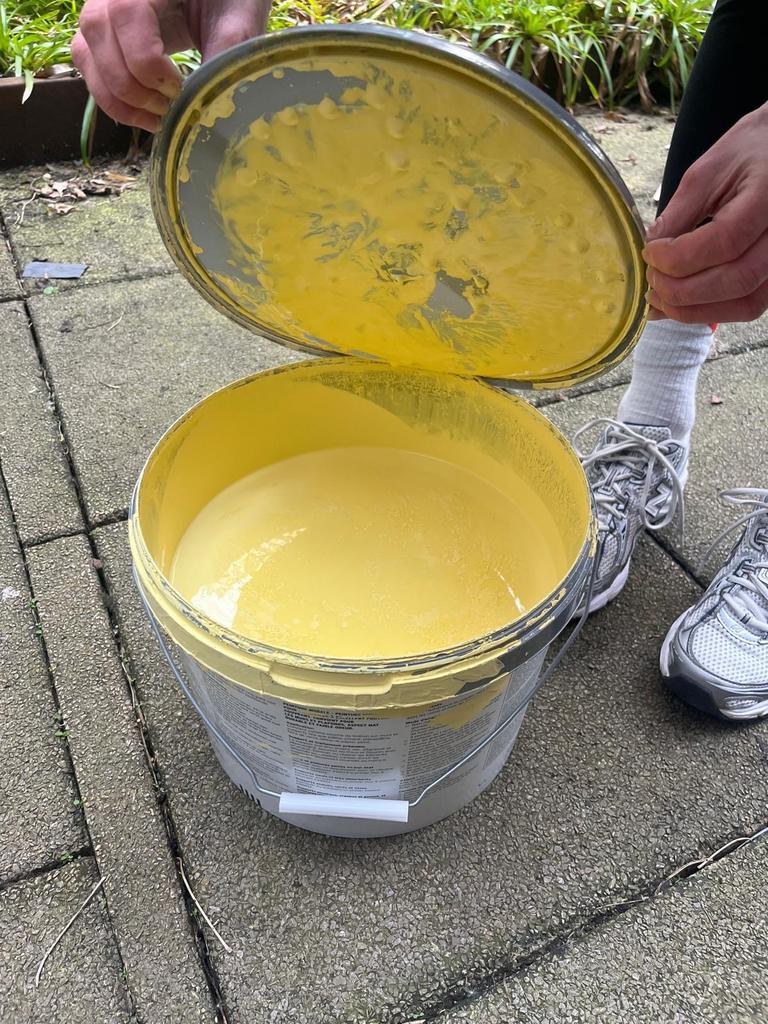 Gamma Muurverf Pastel Geel - 8 liter