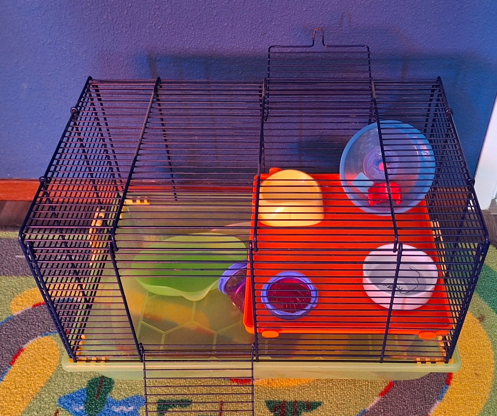 Klein knaagdieren kooitje, Kooi, Gebruikt, Minder dan 75 cm, Ophalen