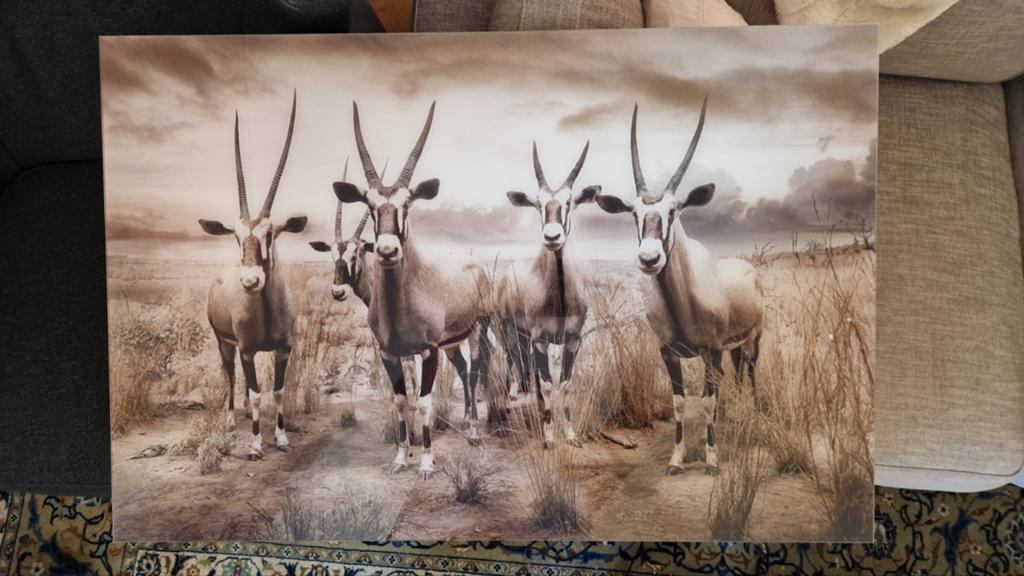 Unieke YellowKorner foto "Diorama I" van Leo Caillard, Ophalen of Verzenden