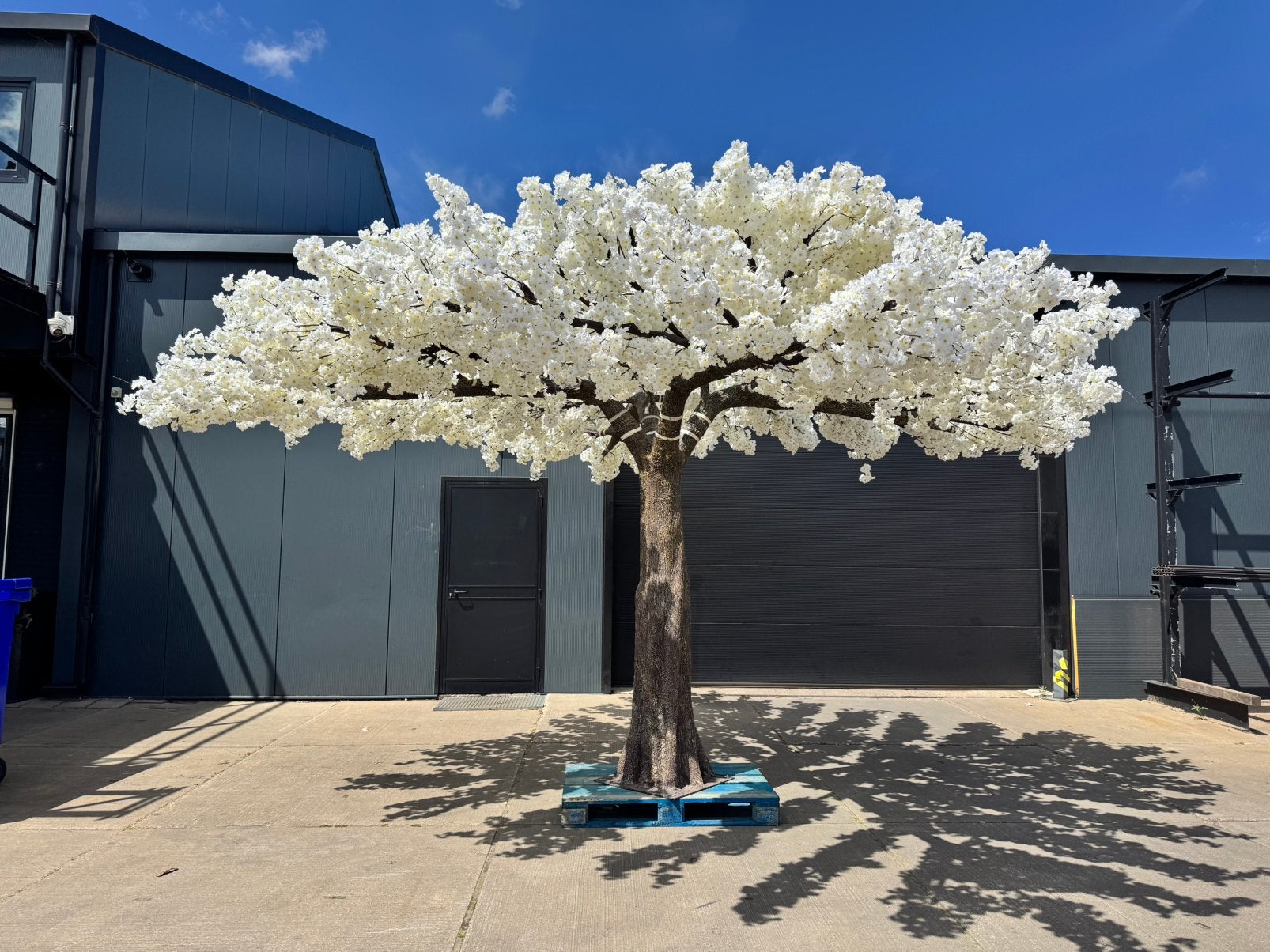 Japanse kersen bloesem kunstboom, Ophalen of Verzenden, Halfschaduw, Minder dan 100 cm