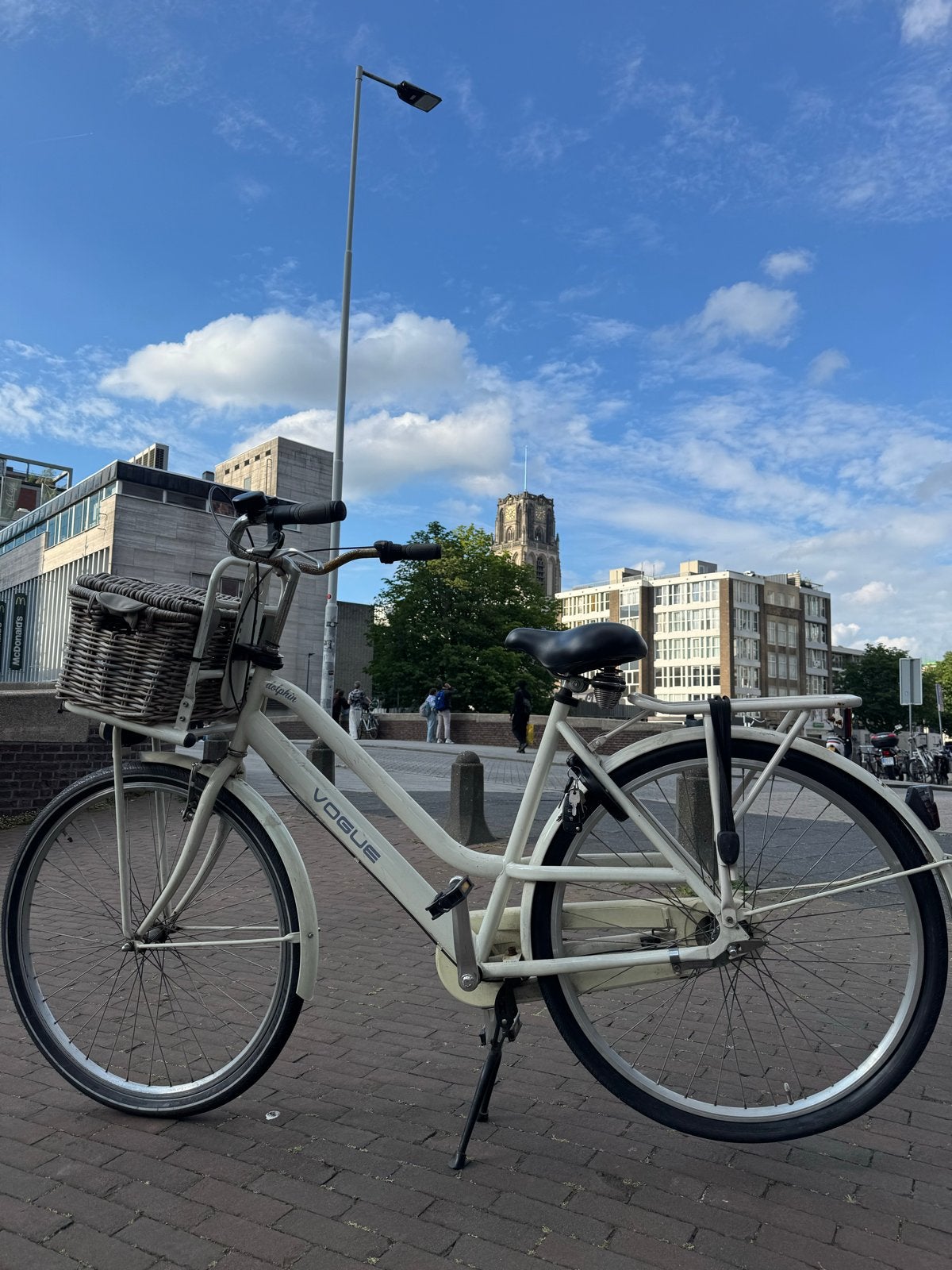 Dolphin Vogue Damesfiets met mand, Gebruikt, Velgrem, Versnellingen, 50 tot 53 cm