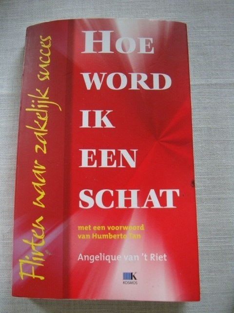 "Hoe word ik een Schat" Angelique van 't R, Ophalen of Verzenden, Zo goed als nieuw, Sociale psychologie