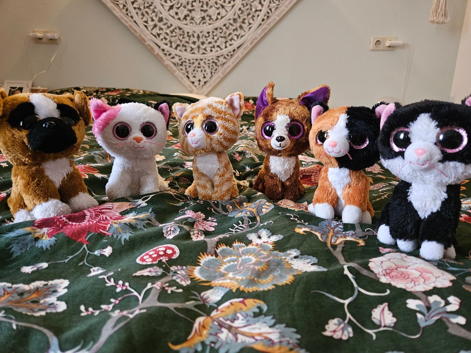 6 knuffels ty beanie boo hond en kat, Gebruikt, Overige karakters, Klein (minder dan 20 cm), Ty