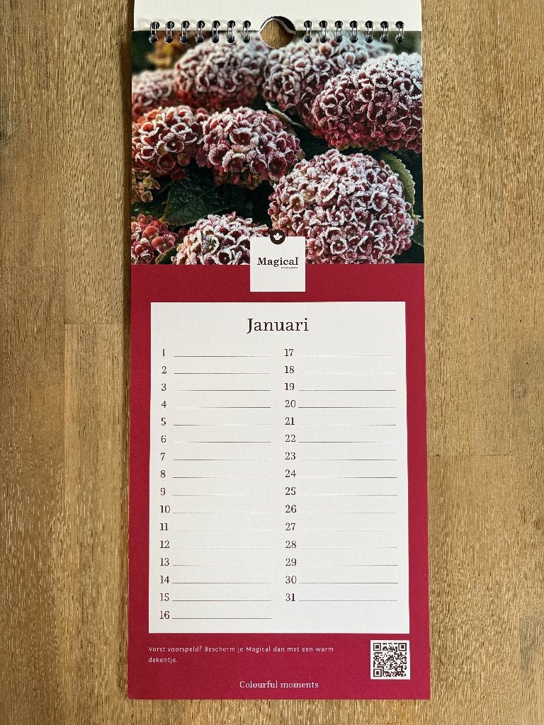 Verjaardagskalender hortensia's 36x16 cm (nieuw), Diversen, Kalenders, Ophalen of Verzenden, Maandkalender, Nieuw