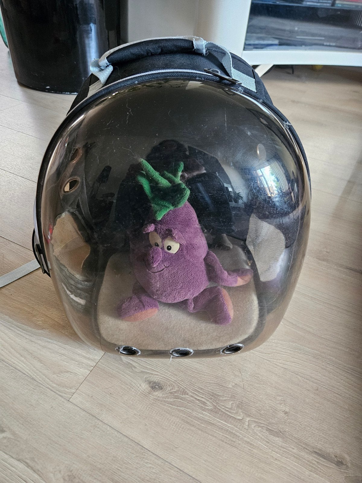 rugzak voor bv je kat,  om veilig mee te nemen in het OV, Dieren en Toebehoren, Ophalen of Verzenden, Zo goed als nieuw