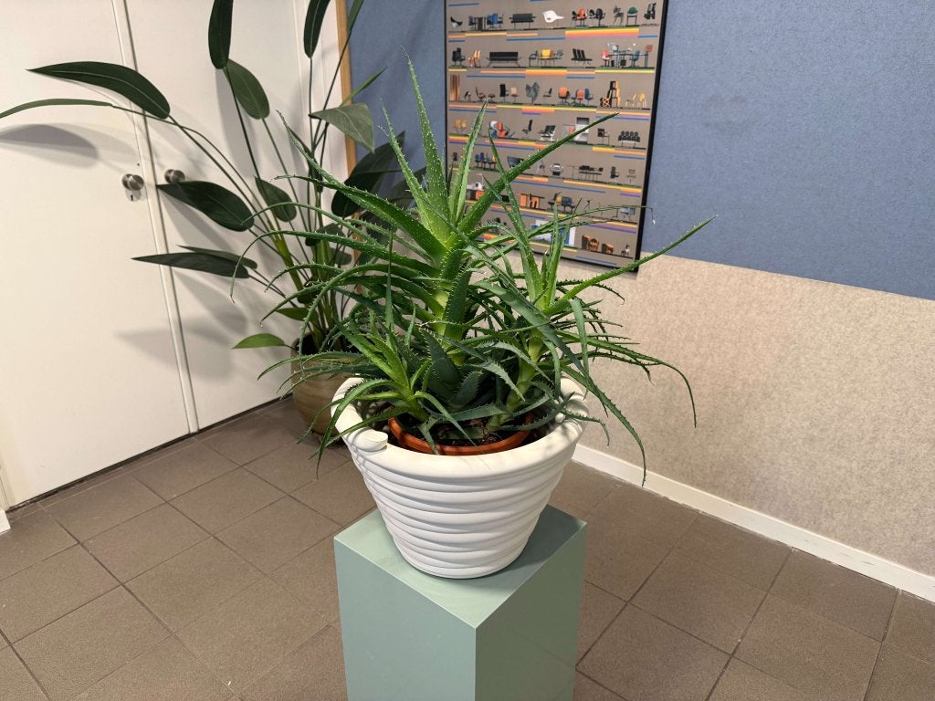 Dirk van der Kooij | Mummy Planter Vaas | Wit | 1x, Dirk van der Kooij, Kunststof, Gebruikt, Dirk van der Kooij