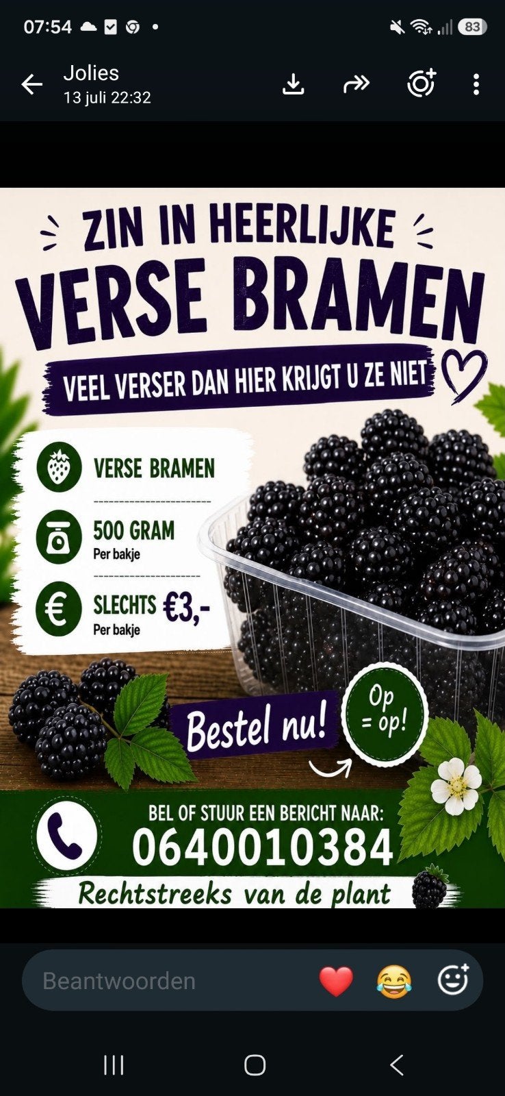 Verse Bramen - Rechtstreeks van de Plant!, Ophalen of Verzenden
