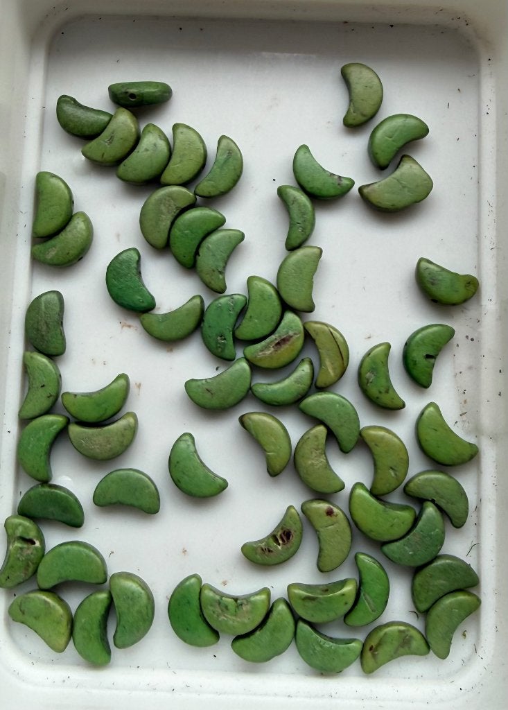 45 stuks Indonesische Halve Maan Houten Kralen Groen, Ophalen of Verzenden, Nieuw, Kraal