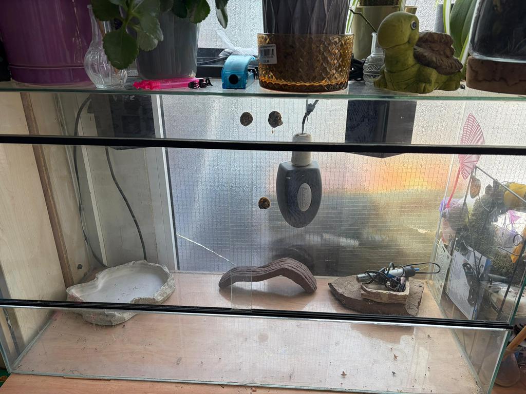 Terrarium, Dieren en Toebehoren, Reptielen en Amfibieën | Toebehoren, Ophalen, Gebruikt