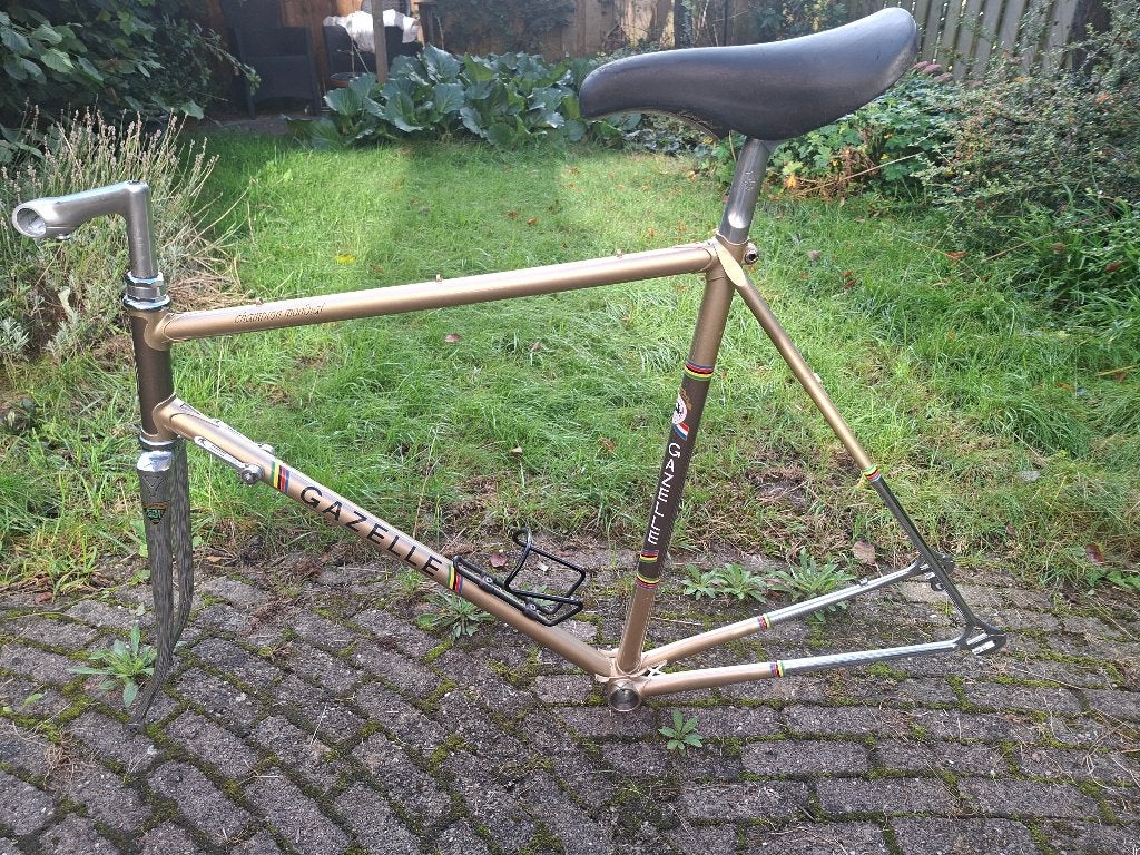 Gazelle Champion Mondial frame en vork, 1980, Frame, Staal, Ophalen of Verzenden, Zo goed als nieuw
