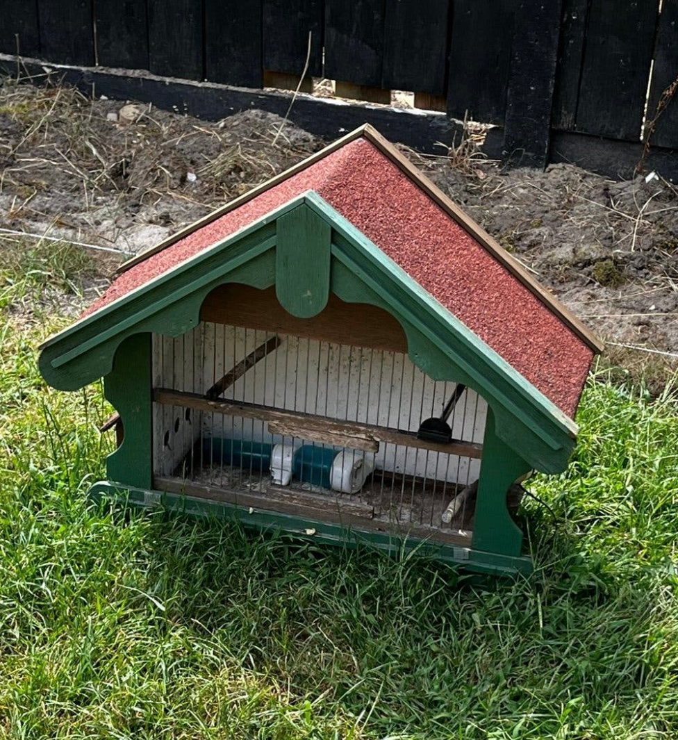 Gratis vogelkooi voor 2 vogels, Dieren en Toebehoren, Vogels | Hokken en Kooien, Ophalen, Gebruikt, Hout, Vogelkooi