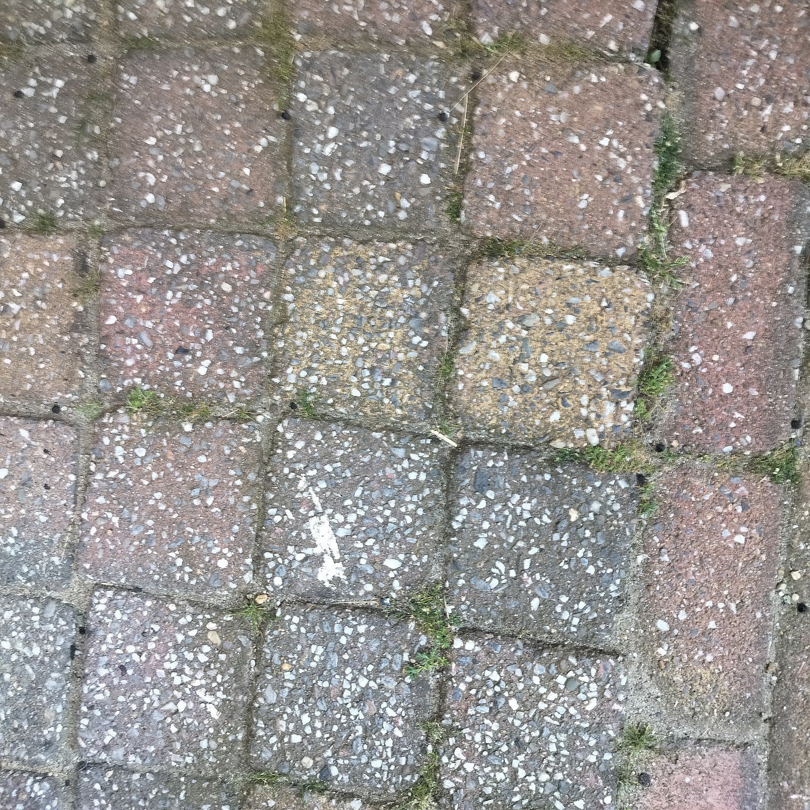 Kleine tegels, Tuin en Terras, Tegels en Klinkers, Ophalen, Gebruikt, 10 m² of meer, Beton