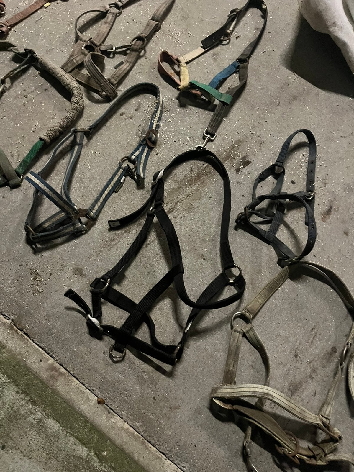 Gebruikte halsters cob / full / shet / pony, Gebruikt, Recreatie, Ophalen of Verzenden, Halster
