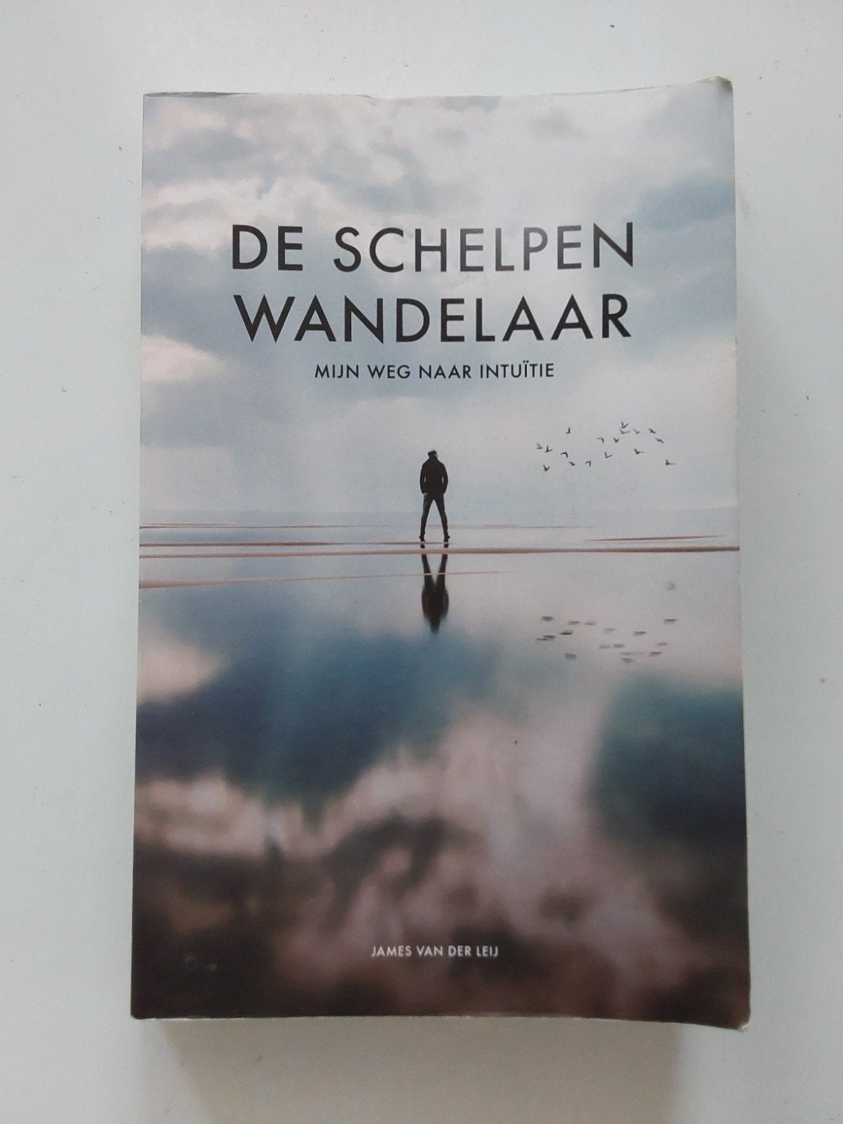 James van der Leij : De Schelpen🐚wandelaar, Ophalen of Verzenden, Zo goed als nieuw, James van der Leij