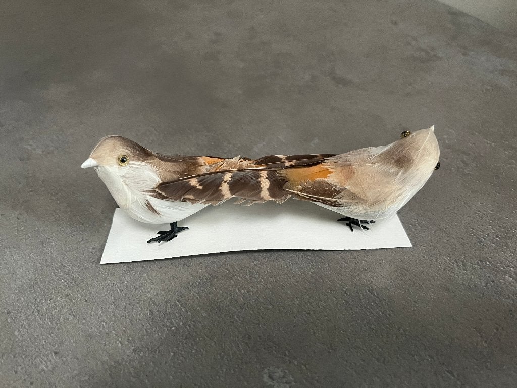 Te koop vogeltjes met echte veertjes +/- 12 cm incl staart, Ophalen of Verzenden, Nieuw