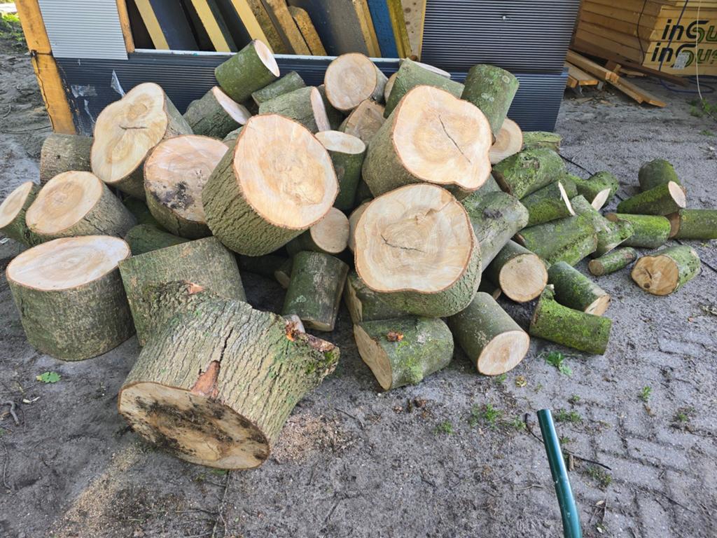 Essenhout hout es brandhout, Tuin en Terras, Haardhout, 3 tot 6 m³, Ophalen, Essenhout, Stammen