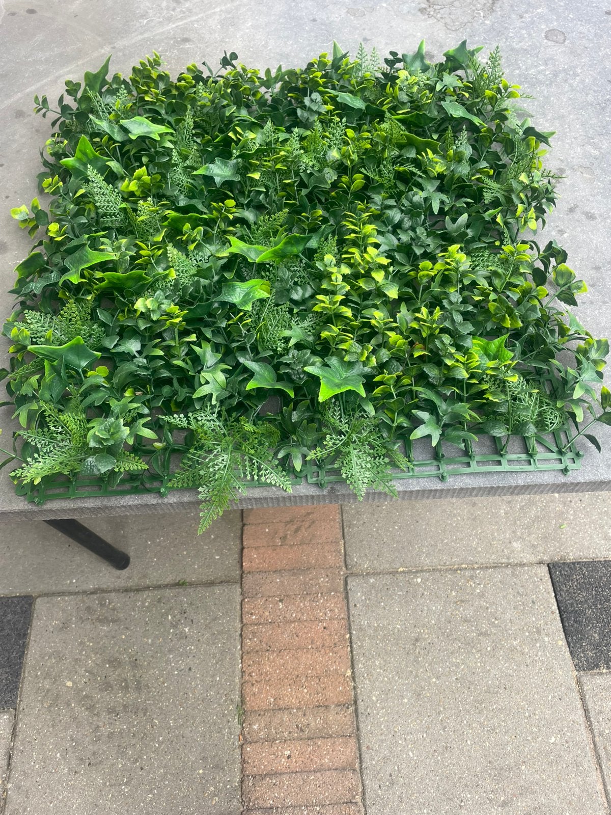 Kunststof mat met buxus , hedera etc., Ophalen, Liguster, Minder dan 100 cm