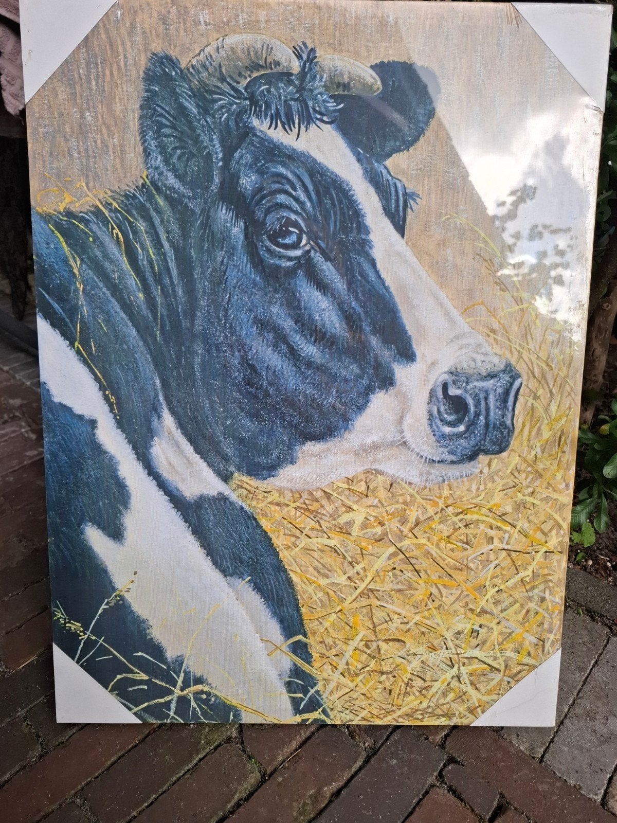 Schilderij van koe va. Theo, Ophalen