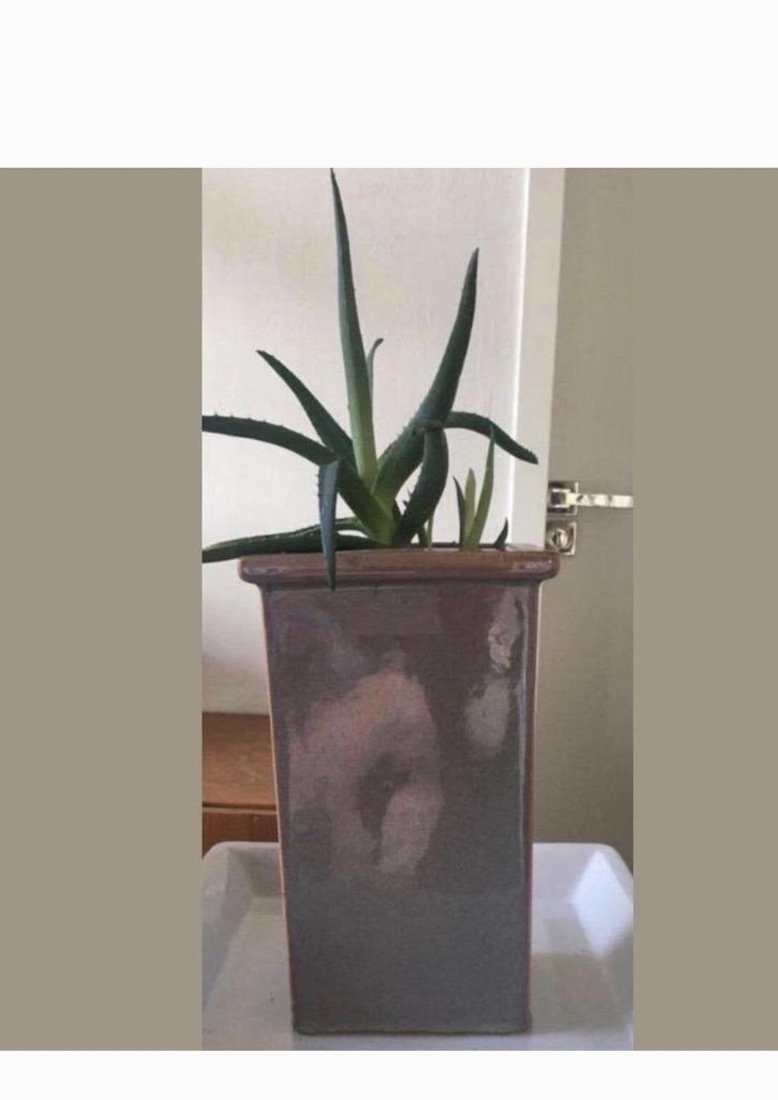 Luxe vintage geglazuurde pot 30cm uniek design, Tuin en Terras, Ophalen, Binnen, Zo goed als nieuw, Terracotta