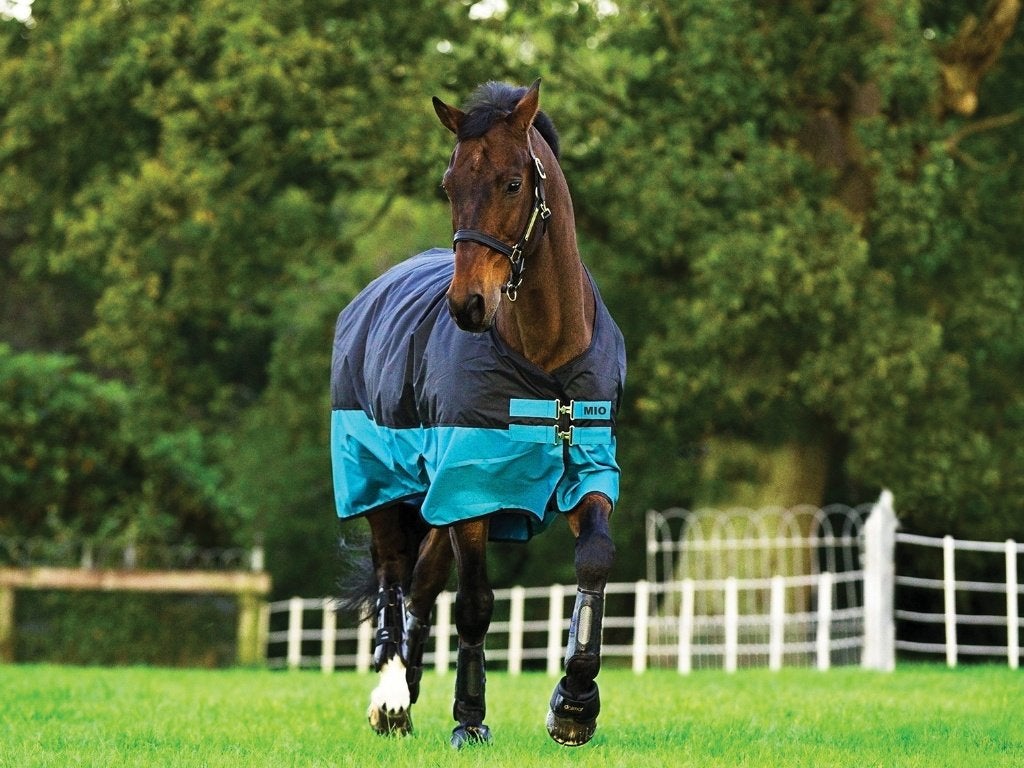 Horseware Mio Medium 200gr, 160, 168, 175, 183, 191, 206, Ophalen of Verzenden, UV-werend, Horseware, Nieuw
