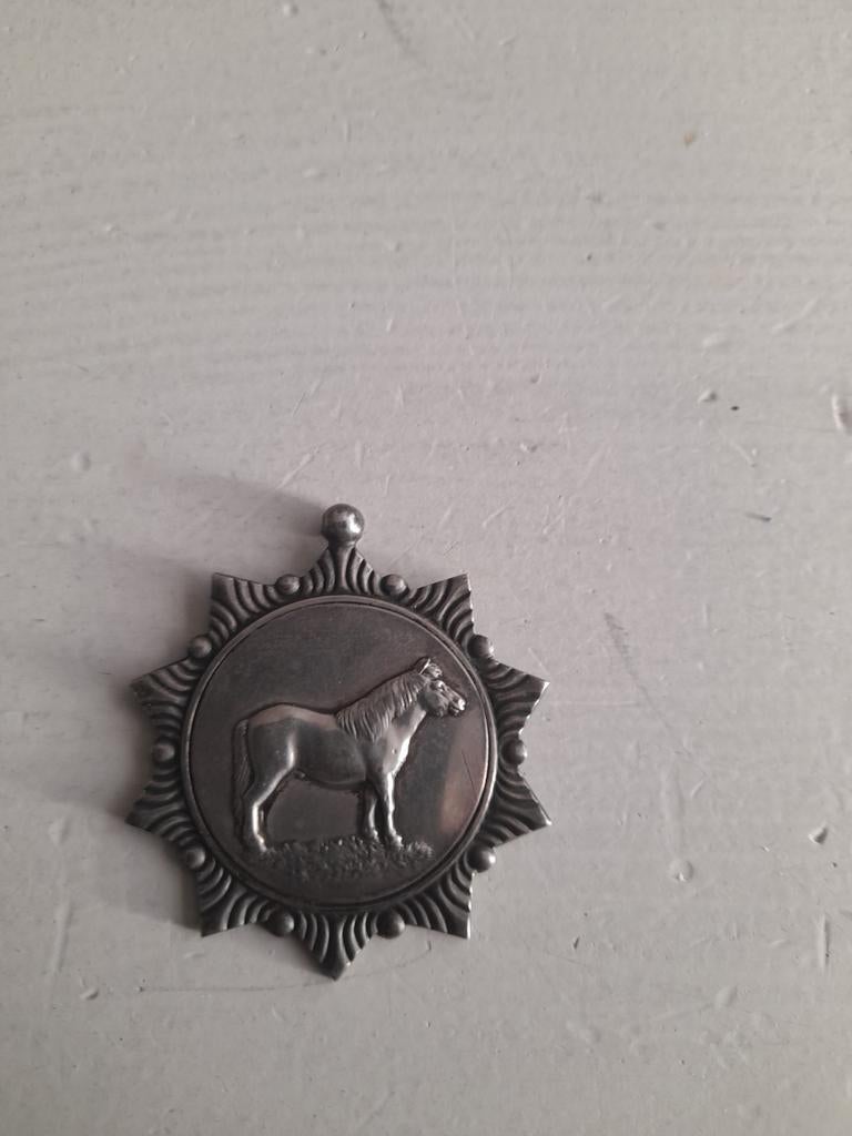 Prijspenning, Postzegels en Munten, Penningen en Medailles, Ophalen of Verzenden, Zilver